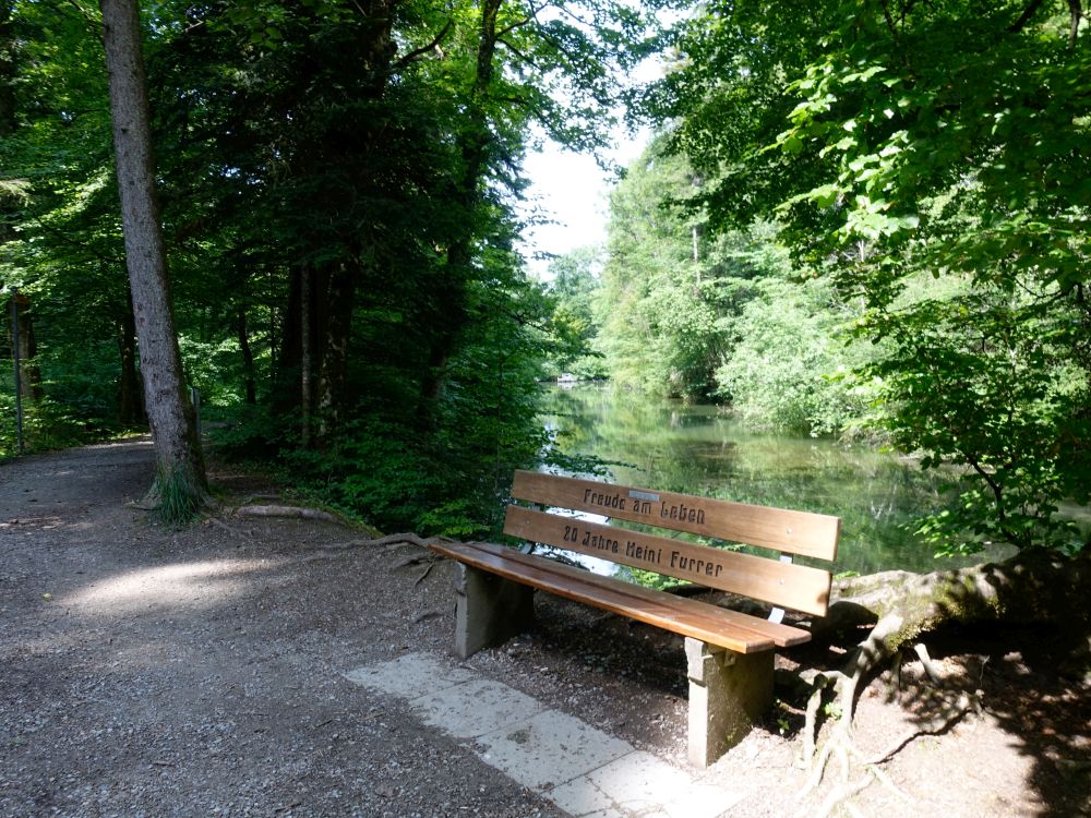 Sitzbank am Teich