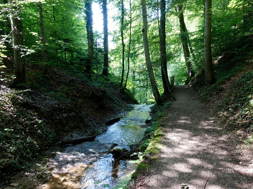 Tobelweg und Farenbach