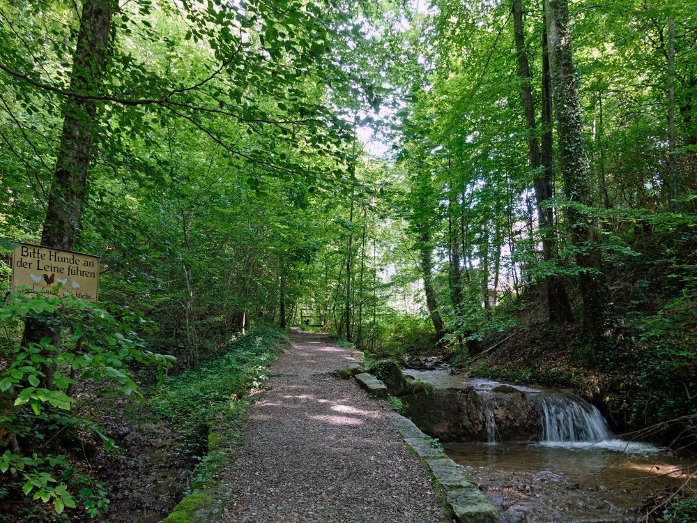 Tobelweg und Farenbach