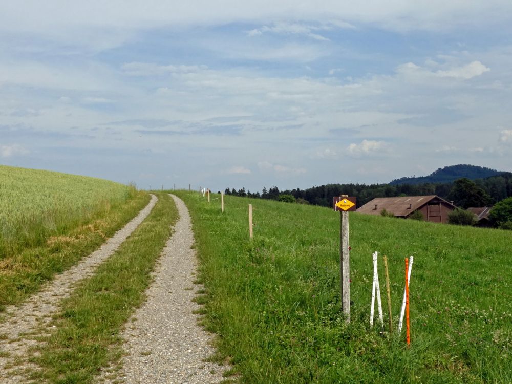 Weg am Mistelberg