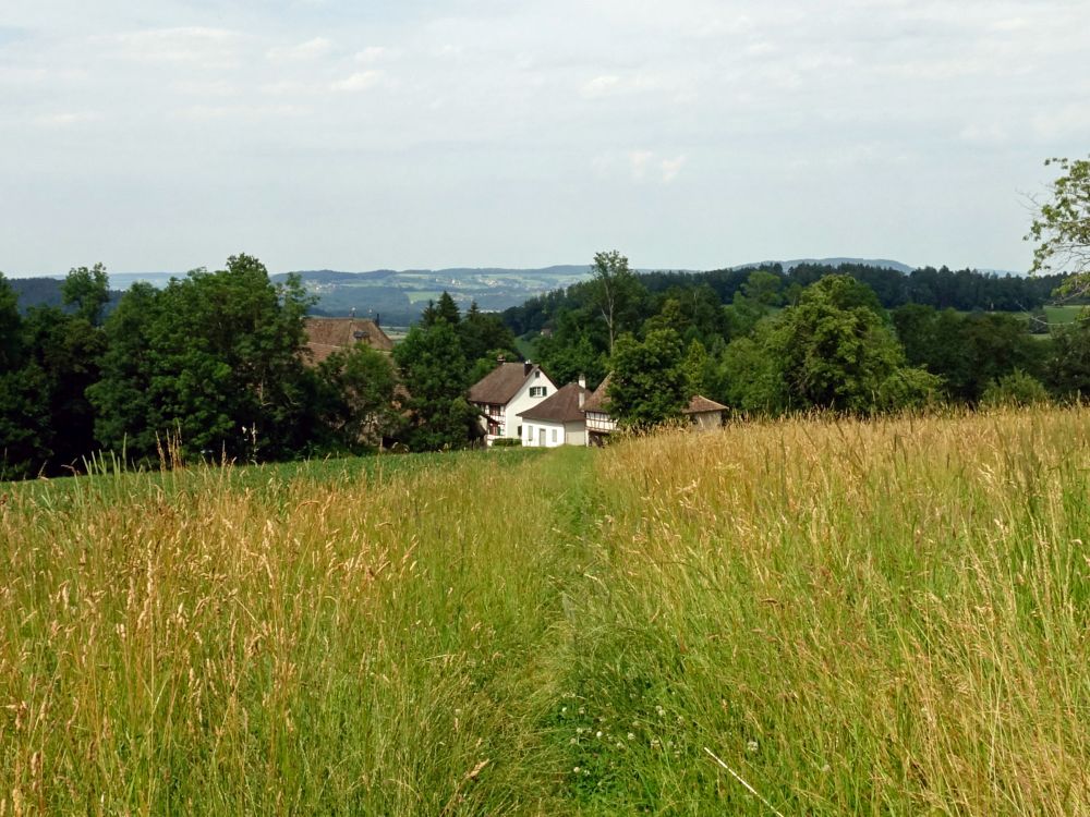 Gebäude am Schloss Elgg