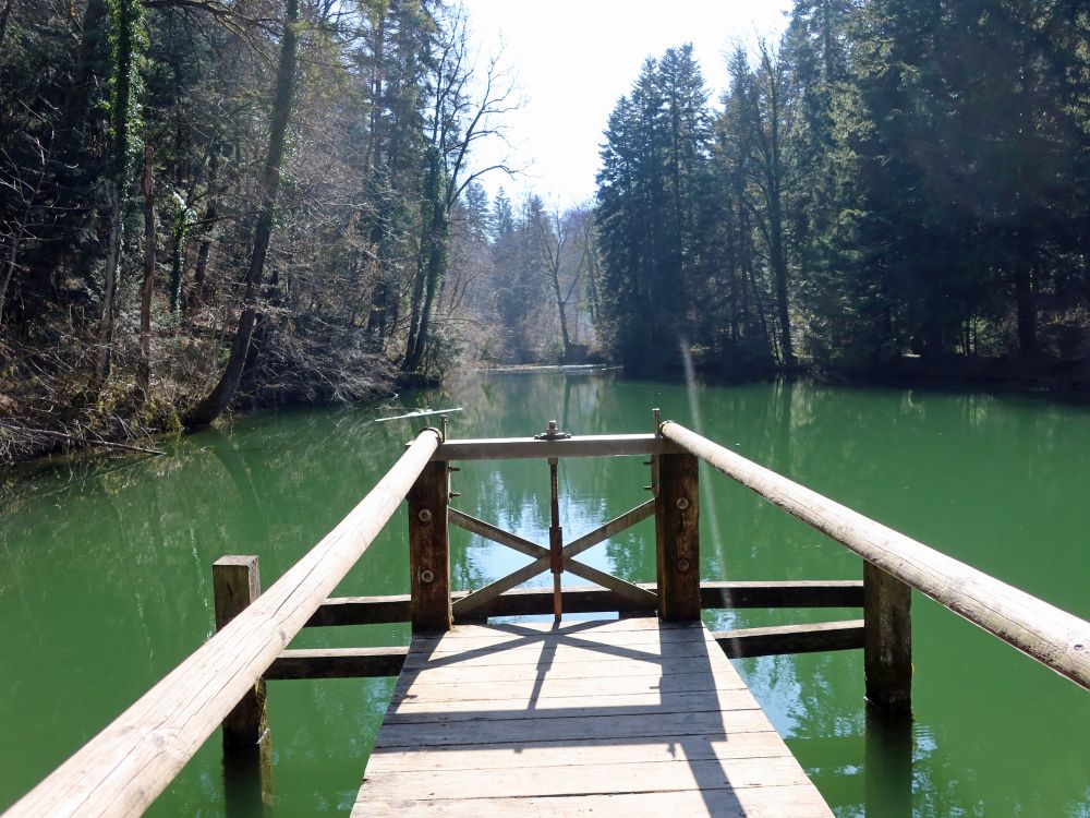 Waldsee Farenbachtobel