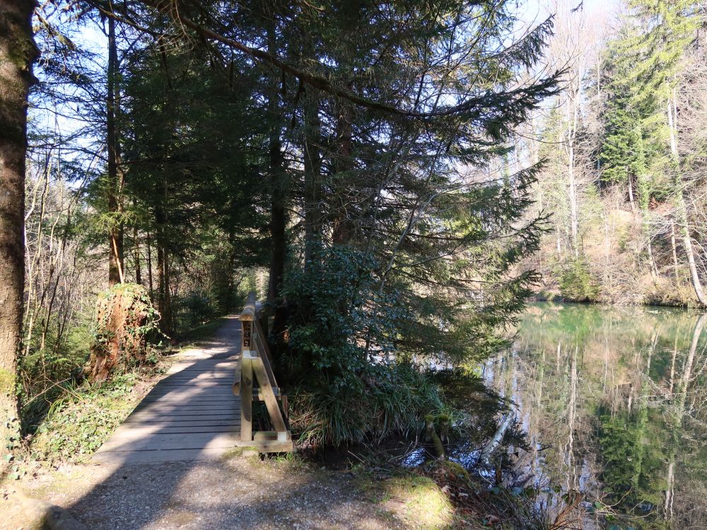 Pfad am Waldsee