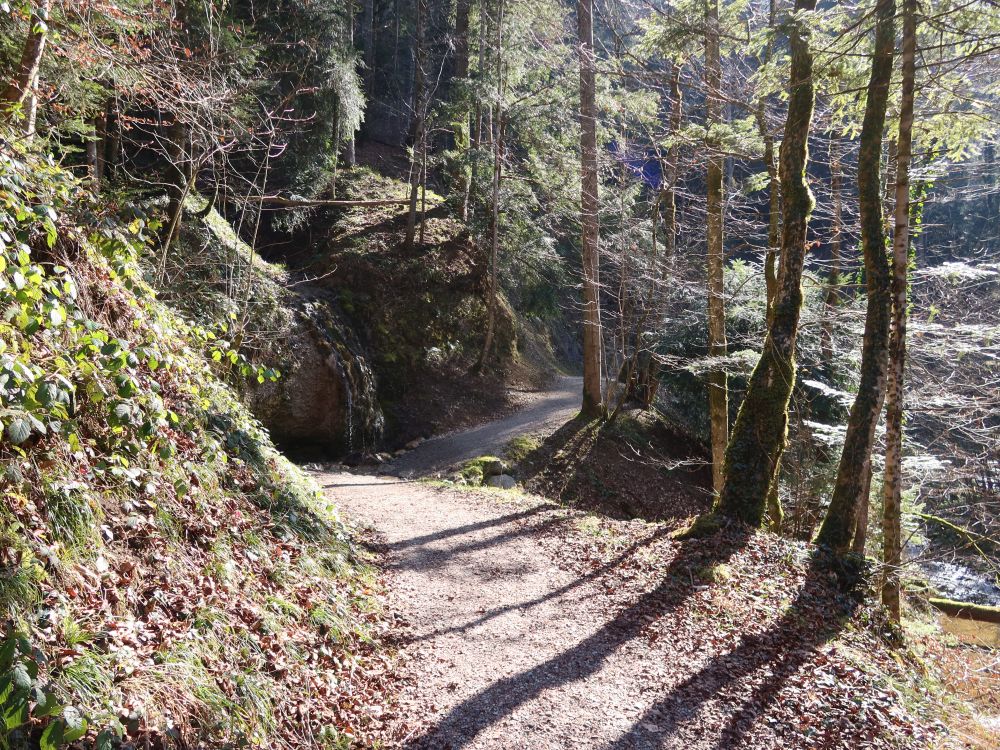 Wasserfall am Weg