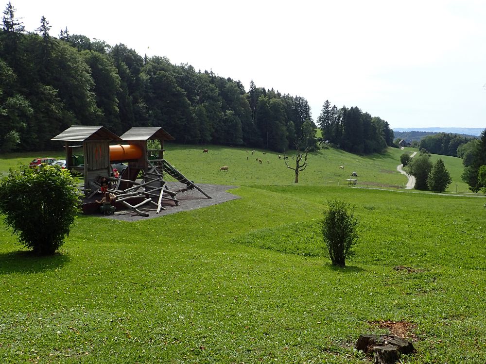 Spielplatz am Felsenegg