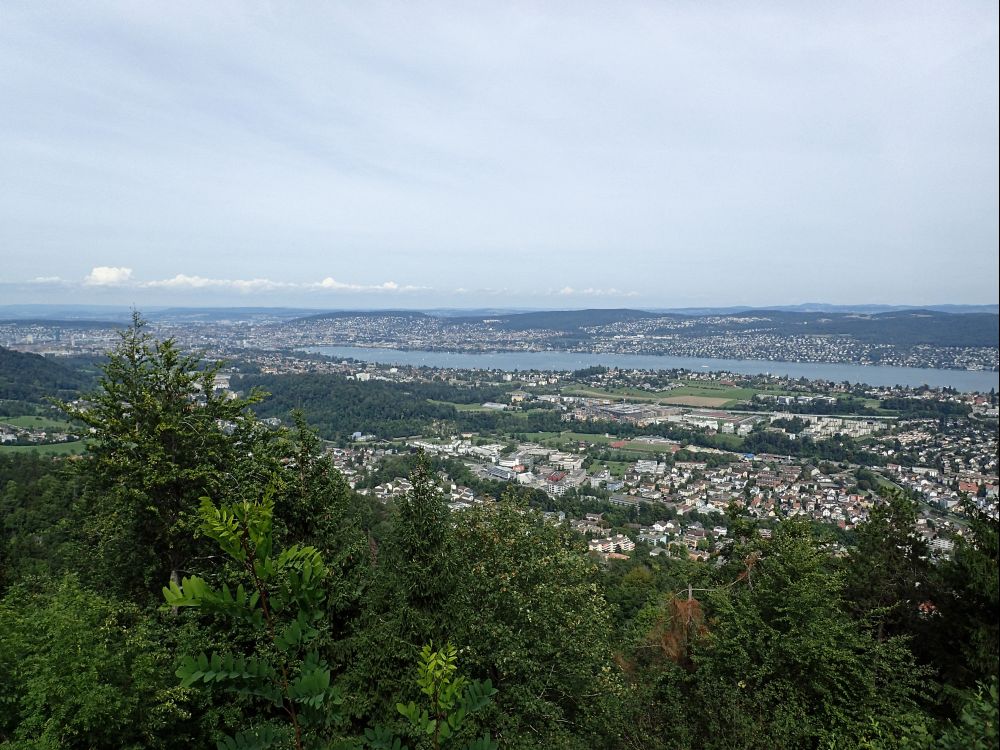 Zürich am Zürichsee