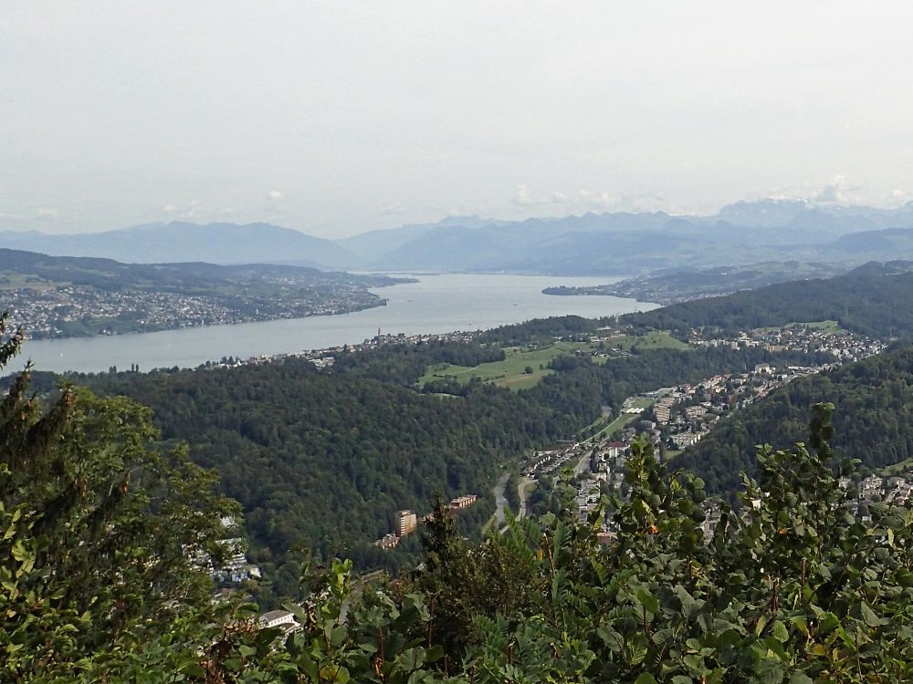 Zürichsee