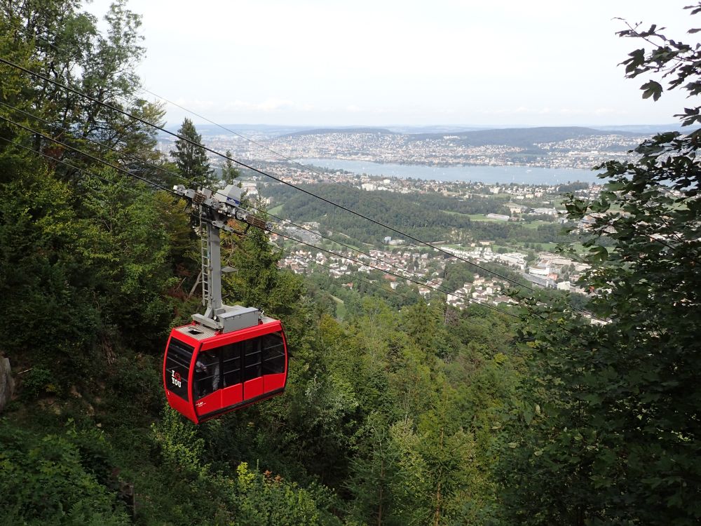 Luftseilbahn Adliswil Felsenegg