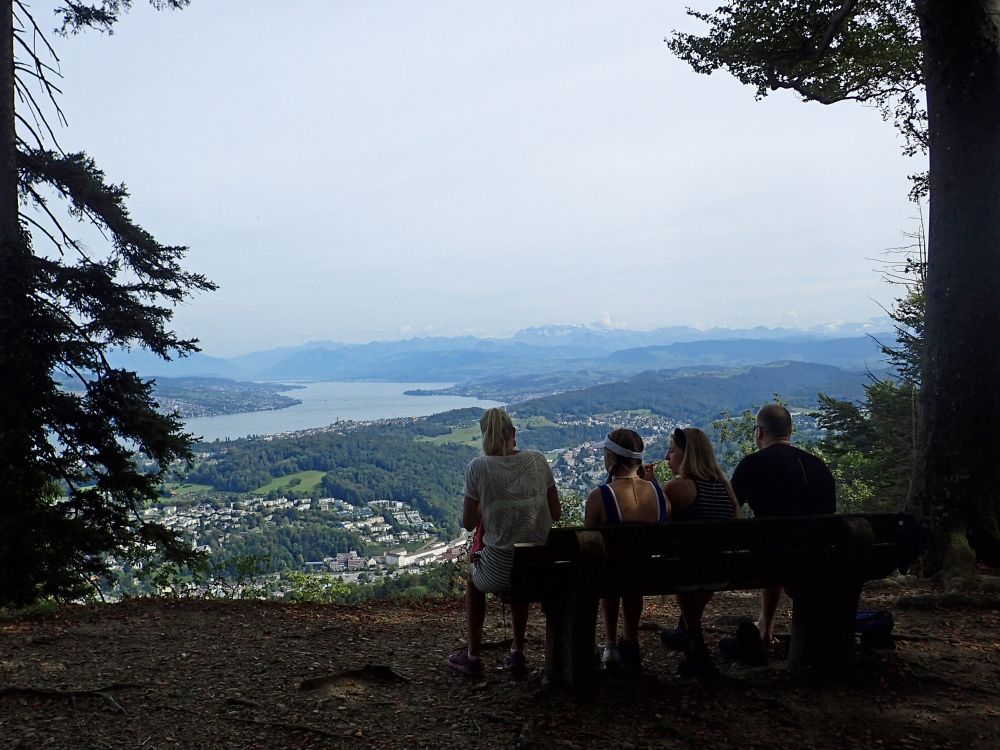 Aussichtsbank und Zürichsee