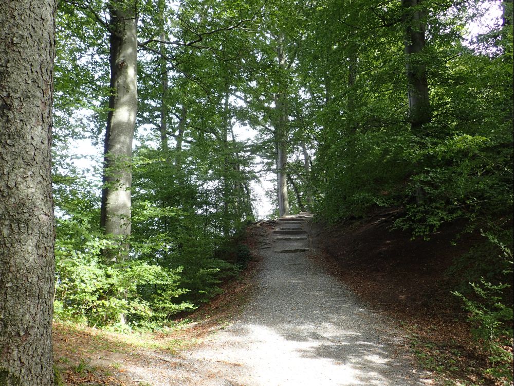 Planetenweg am Albisgrat