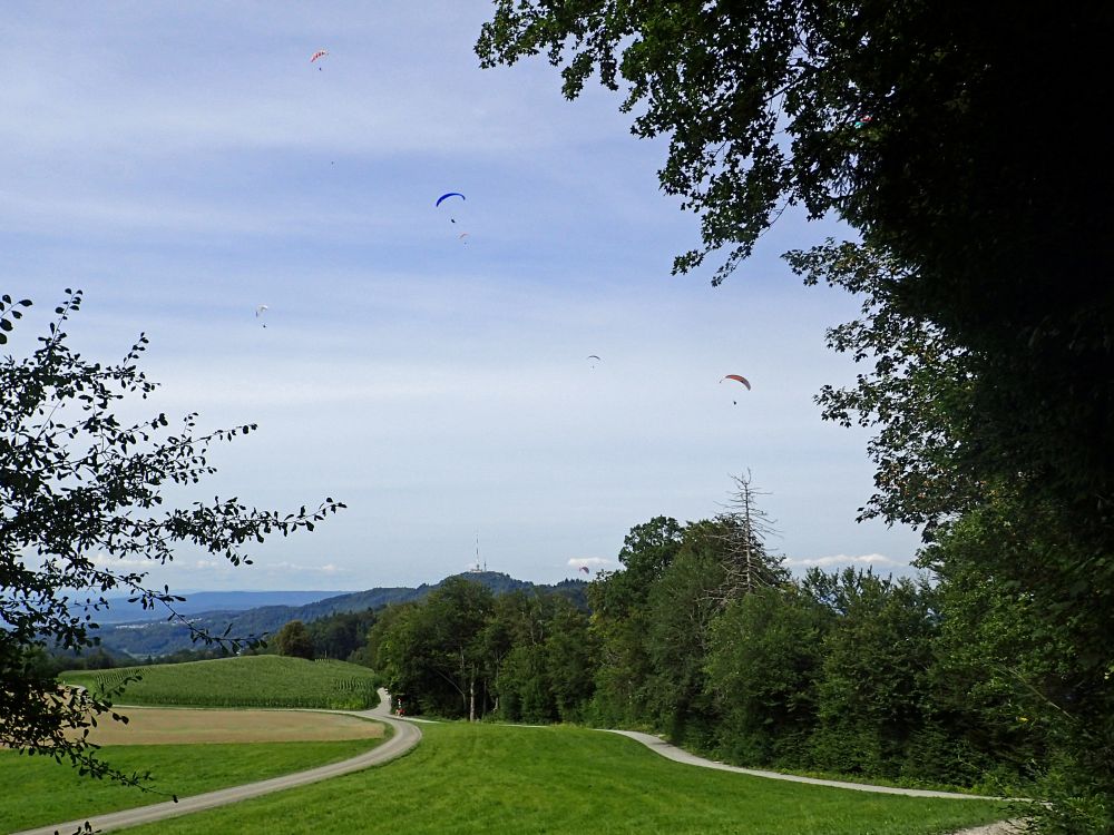 Gleitschirme überm Albis