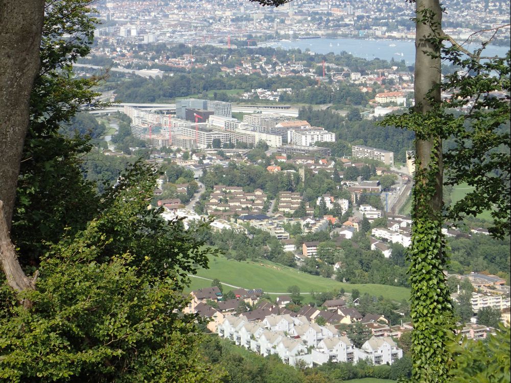 Blick auf Leimbach