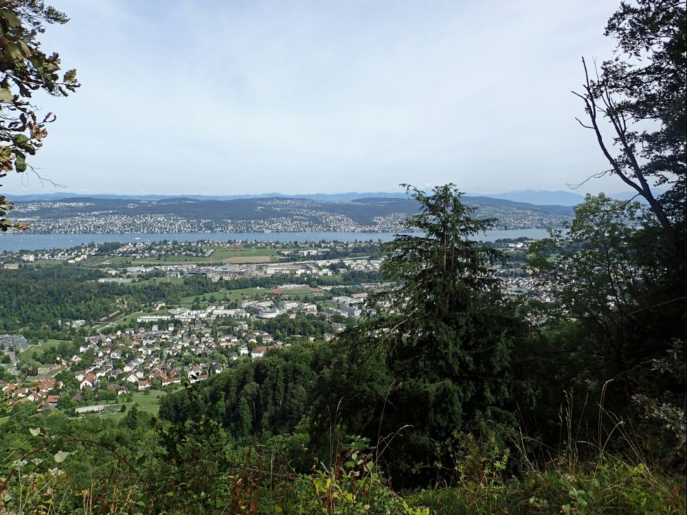 Blick zum Zürichsee