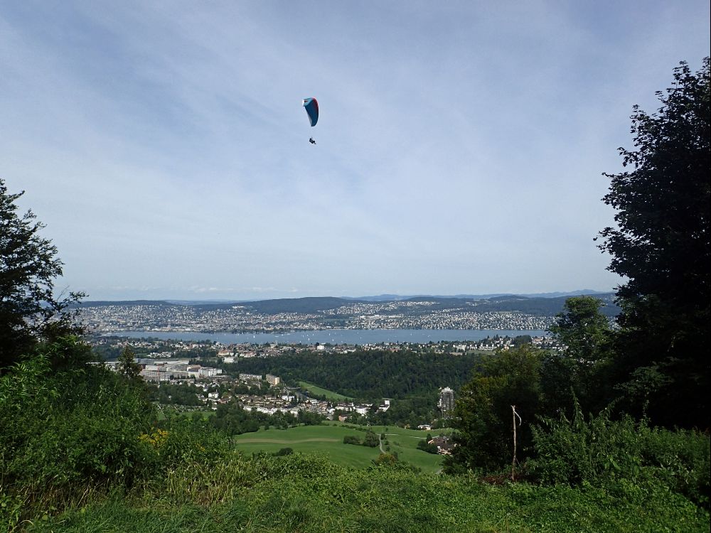 Gleitschirm überm Zürichsee