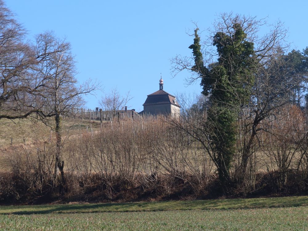 Schloss Goldenberg