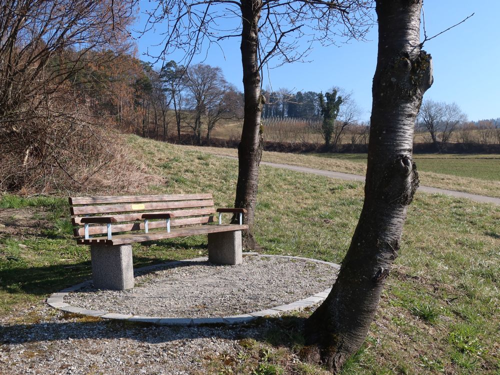 Sitzbank an der Boulistrasse