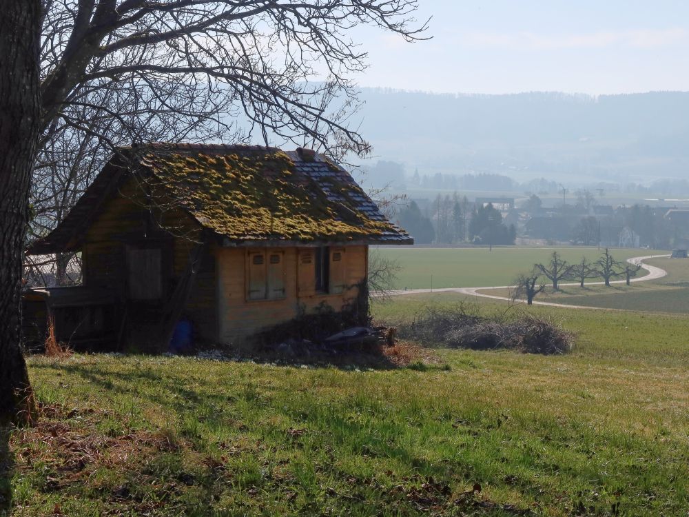 Waldhütte oberhalb Volken