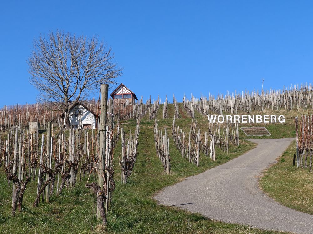 Weinberg Worrenberg