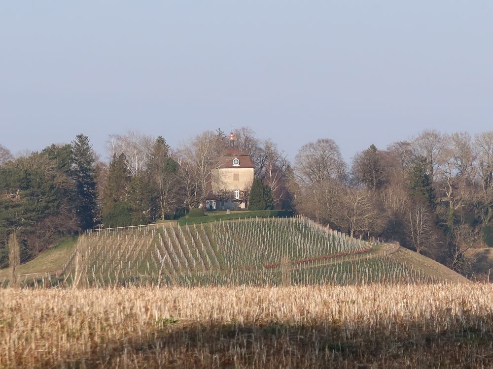 Schloss Goldenberg