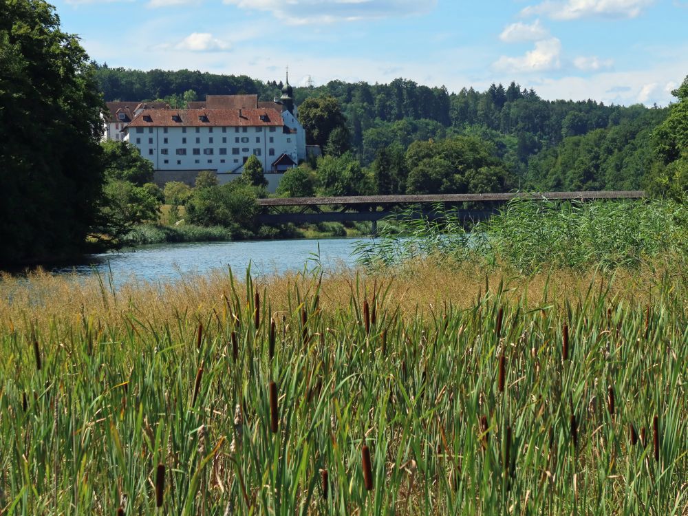 Benediktinerinnenkloster und Dominilochsteg