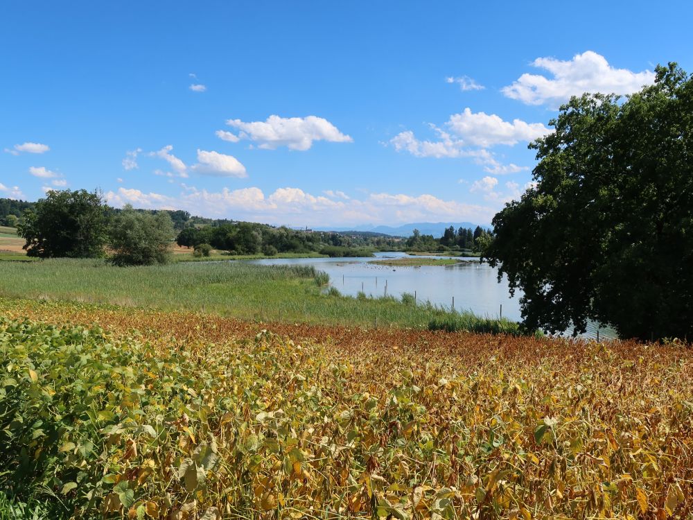 Blick Richtung Unterlunkhofen