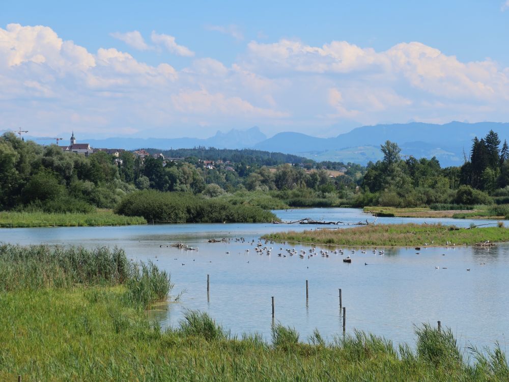 Blick Richtung Unterlunkhofen