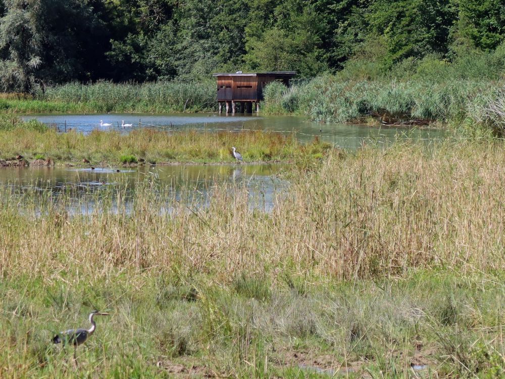 Blick zur Beonachtungsstation