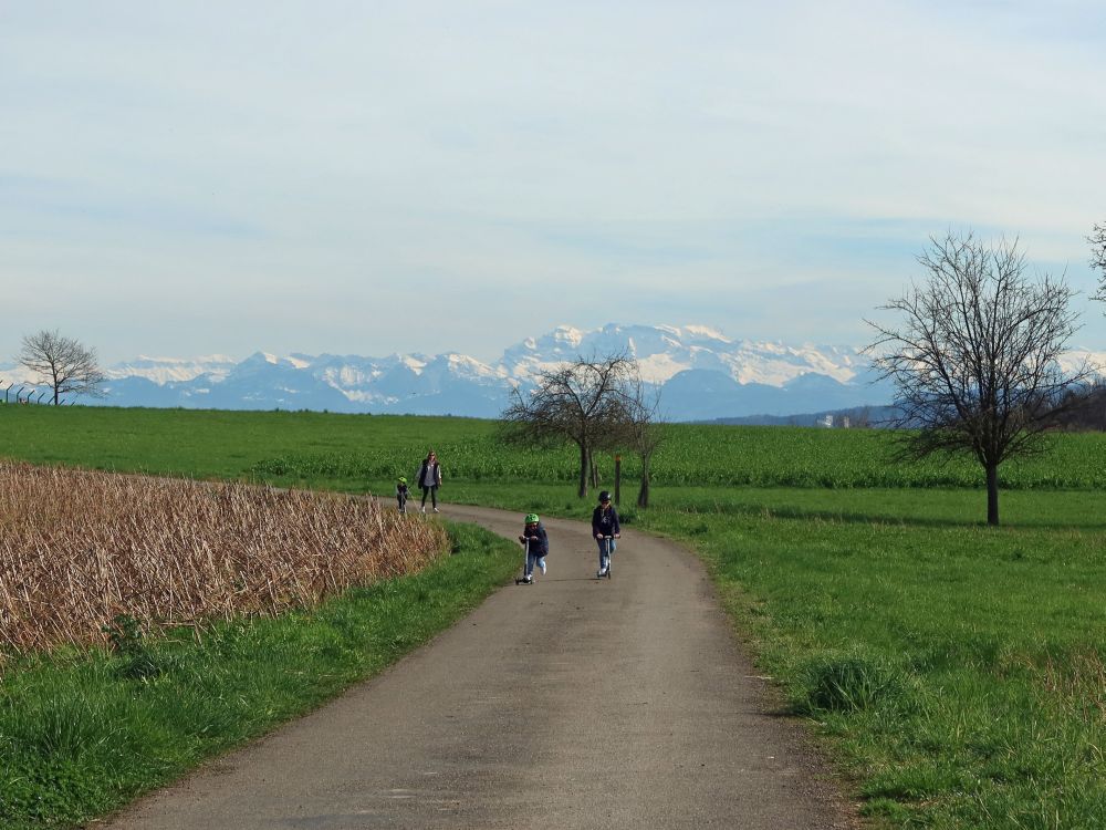 Alpensicht bei Oberglatt