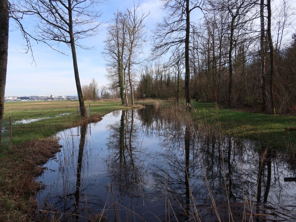 Teich bei Niedertann