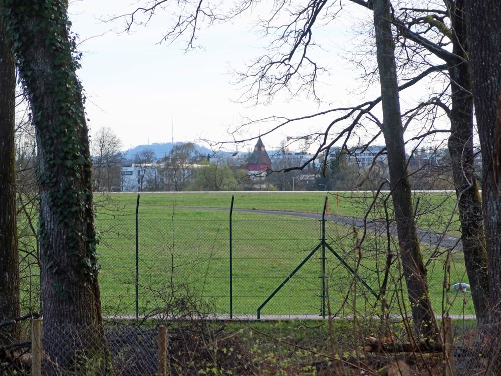 Blick Richtung Uetliberg