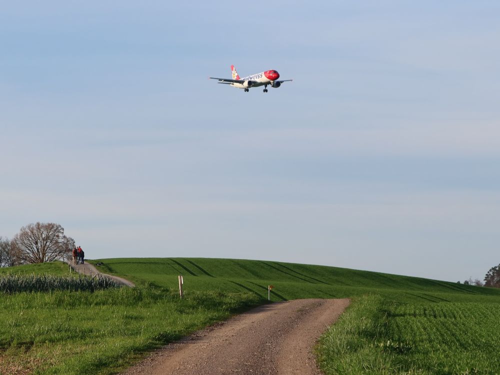 Flugzeug im Landeanflug