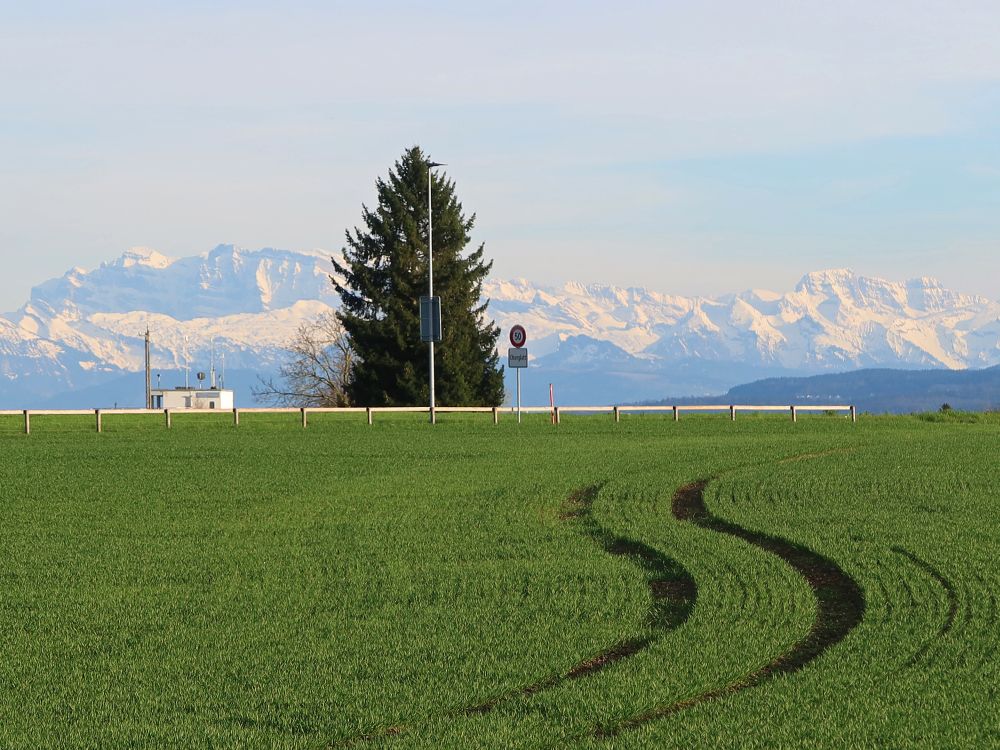 Alpen und Spuren im Acker