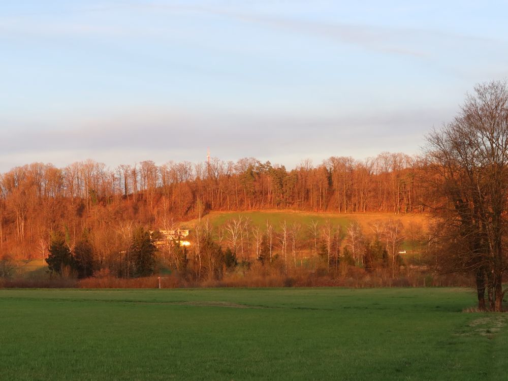 Abendsonne am Hungerbüel