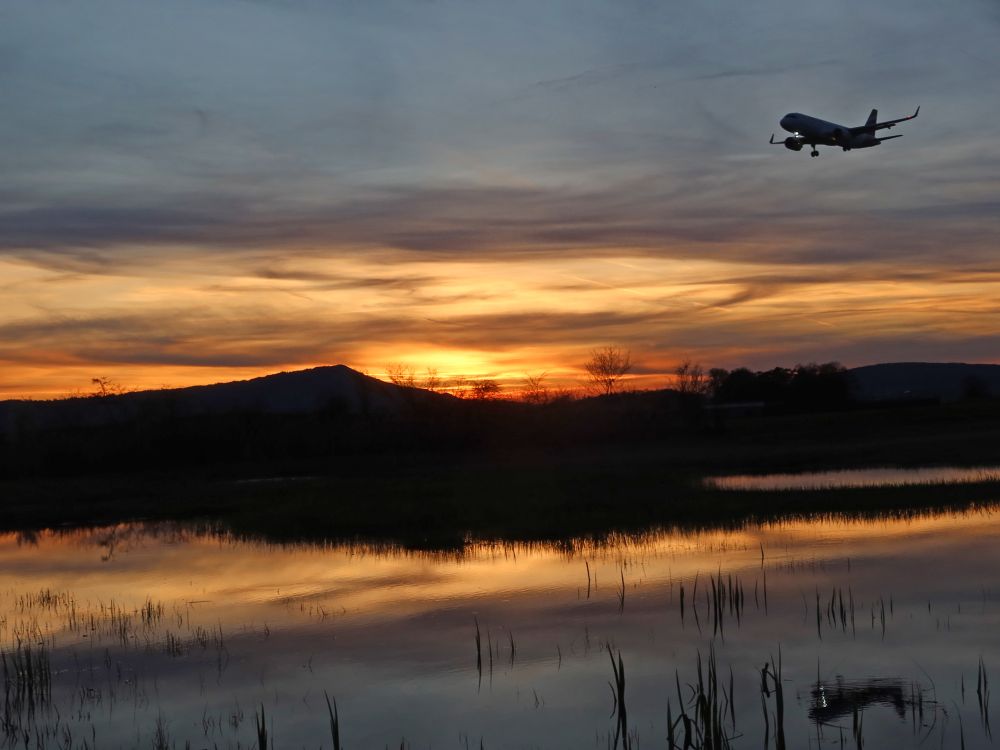 Landeanflug in Abendsonne