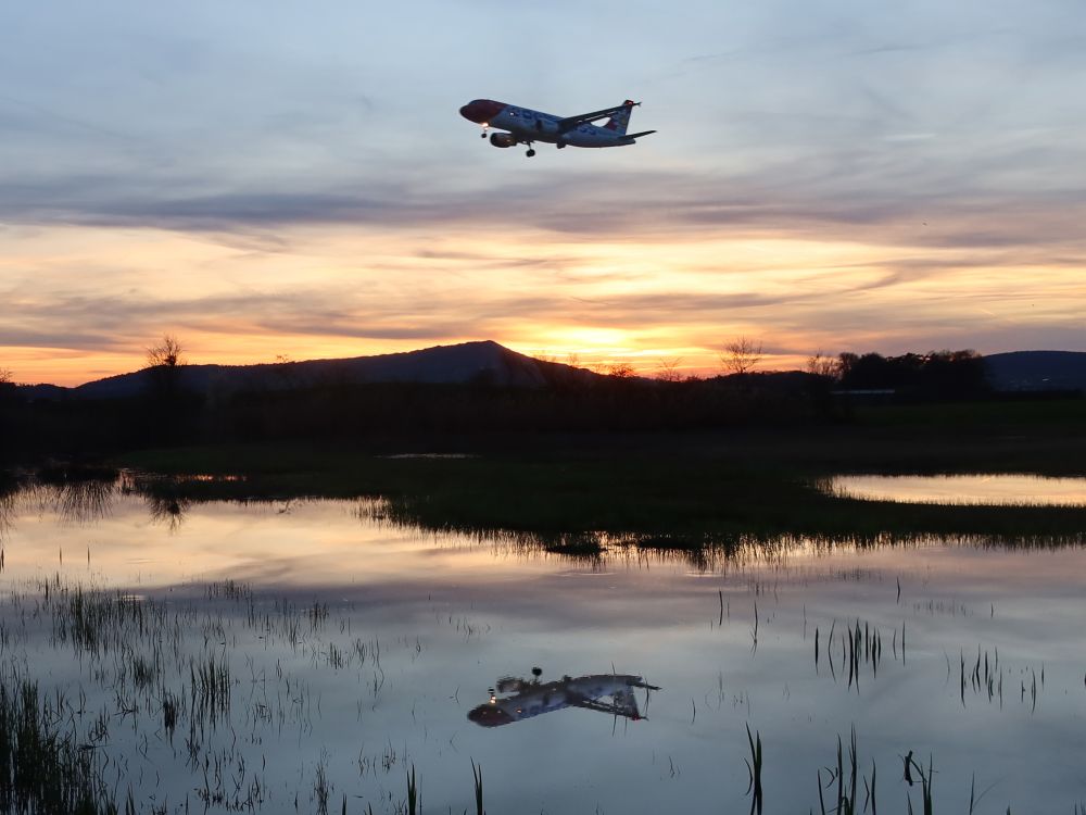 Fluegzeug spiegelt sich im Teich