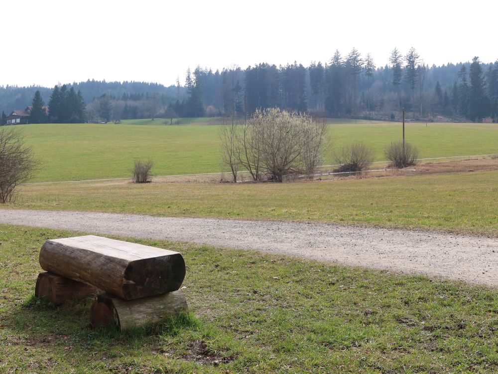 Moorgebiet Guldenen