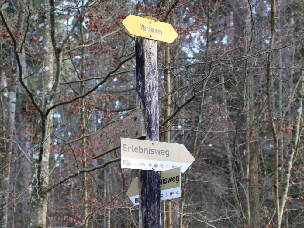 Wegweiser