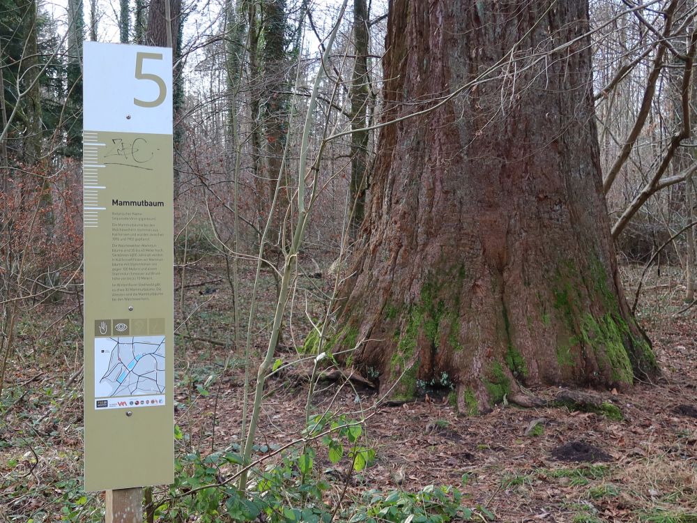 Infotafel