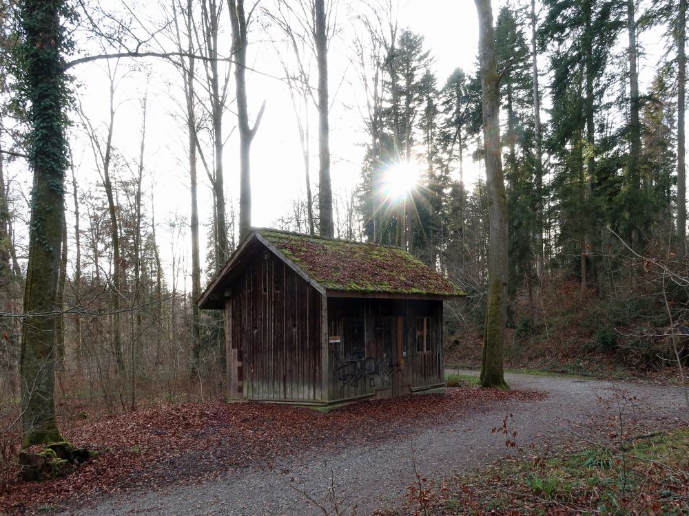 Hütte mit Gegenlicht