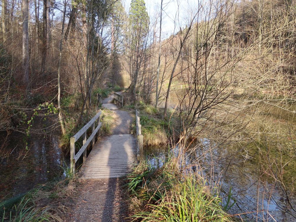 Holzsteg