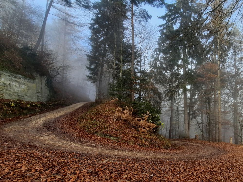 Kehre am Neuerweg