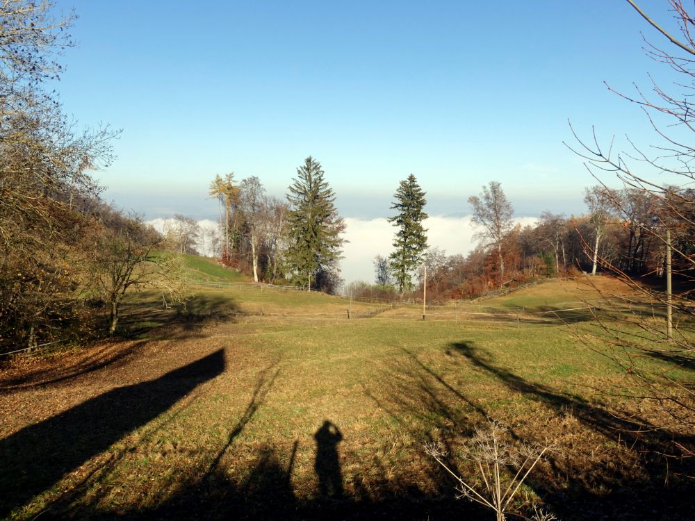 Nebel über dem Überlinger See