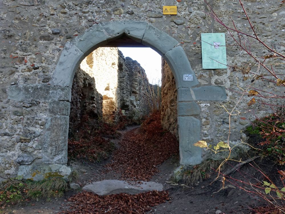 Ruine Altbodman