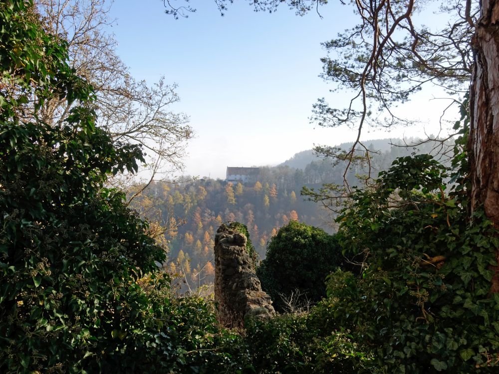 Blick zum Kloster Frauenberg