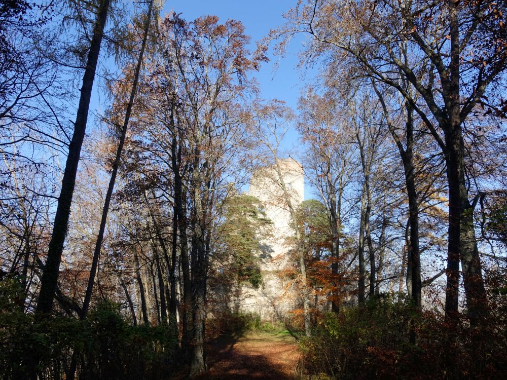 Ruine Altbodman