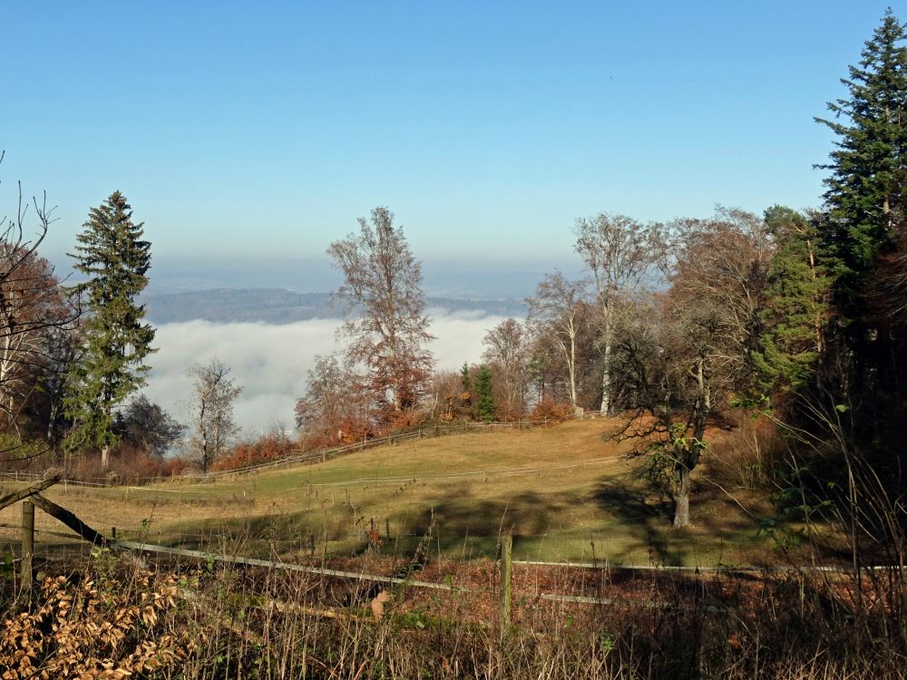 Nebel über dem Überlinger See