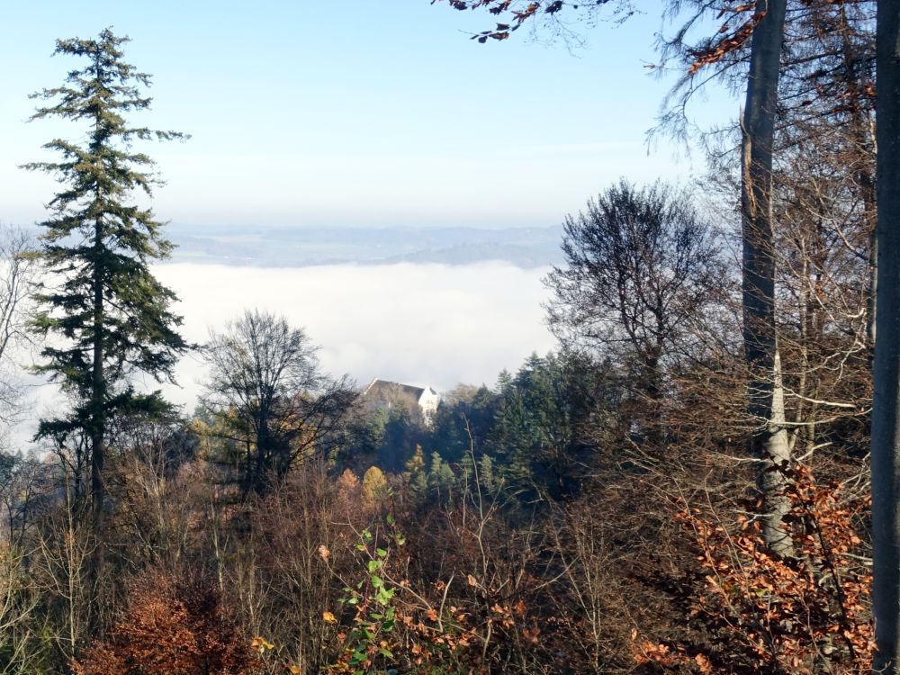Nebel unterm Kloster Frauenberg