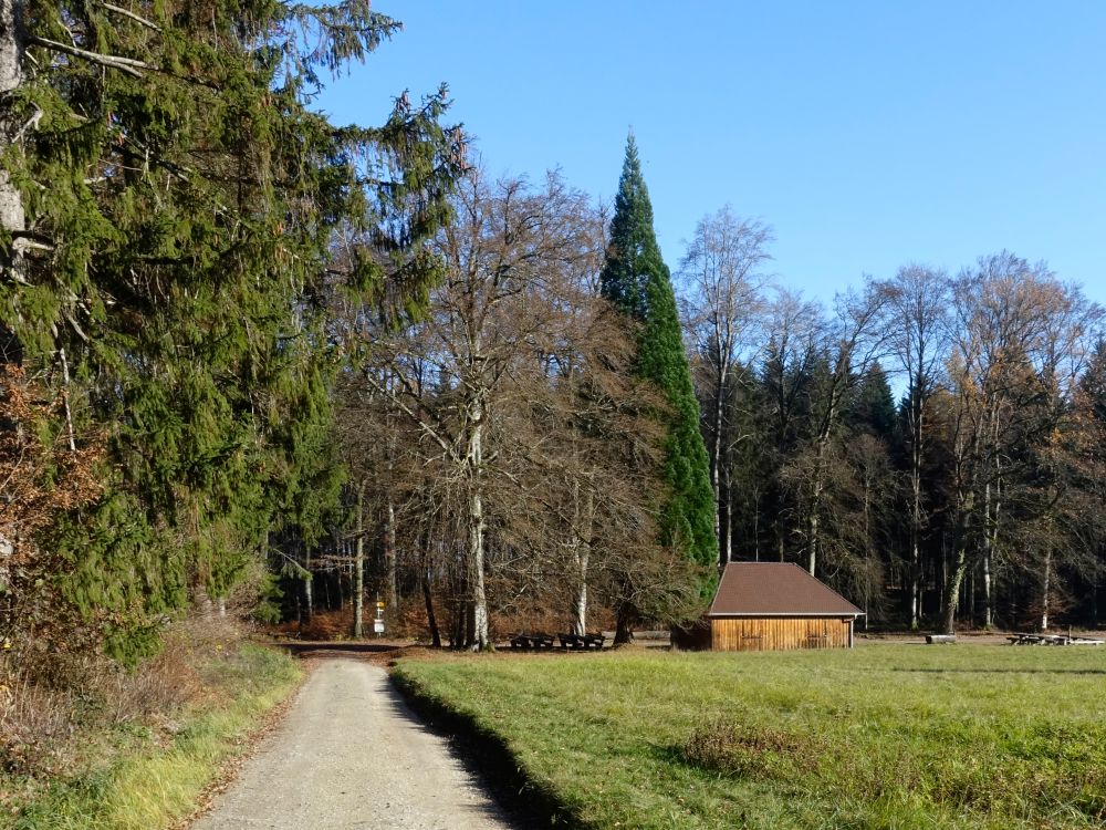 Mittlere Wies Hütte