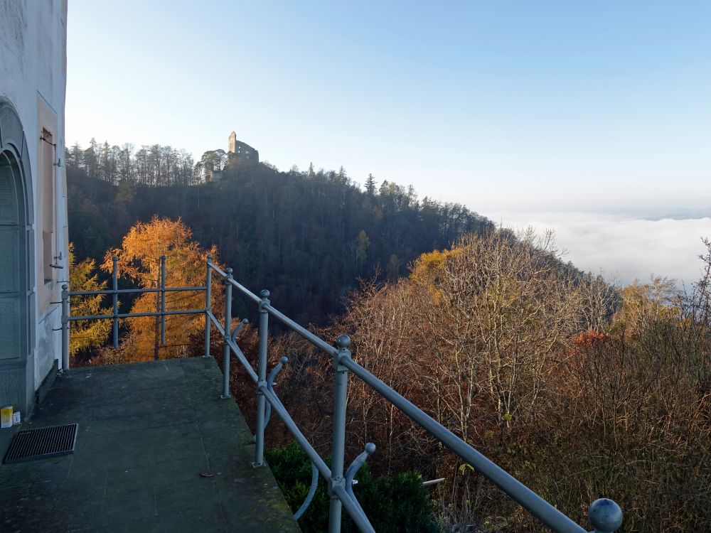 Blick zur Ruine Altbodman