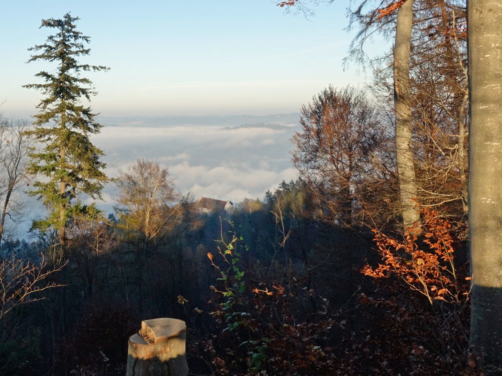 Blick auf Kloster Frauenberg